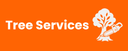 Tree Services